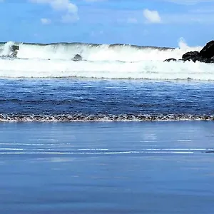 https://americas-blue-yosea-playa-de-las-americas-tenerife.in-canary-islands.com